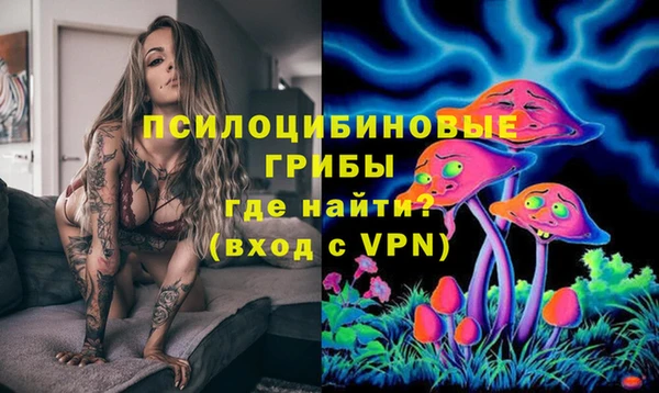 ешки Алексеевка