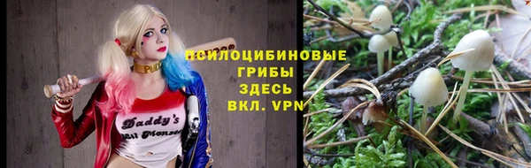 PSILOCYBIN Алексин