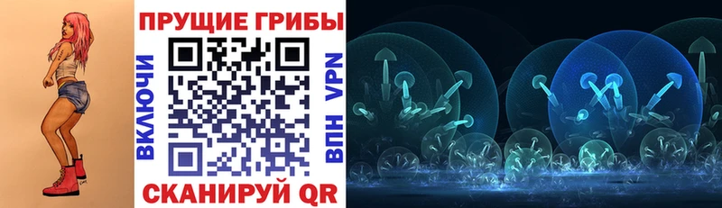 Псилоцибиновые грибы Cubensis  Зверево 